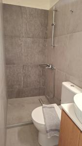 a bathroom with a shower and a toilet and a sink at Villa Sylvia 1 in Matala