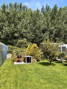 a backyard with a picnic table in the grass at La maison de mamy in Bray-Dunes +16 photos
