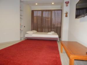 a room with a bed and a red rug at Mircea cel Batrin apartament in Chişinău