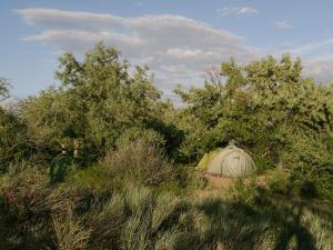 a tent in the middle of a field with trees at Urban Monkey Summer Camp in Kaji-Say