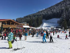 バンスコにあるBansko Prespa Ski Penthouseのスキー場の大群衆