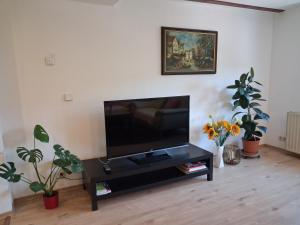 a flat screen tv on a black stand in a living room at Talblick & Ruhe in Hirschhorn Langenthal in Hirschhorn