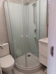 a bathroom with a shower and a toilet at Vila La Famiglia in Eforie Nord +29 photos