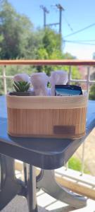 a table with a flower pot on top of it at Villa Sia in Dassia +5 photos