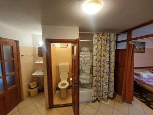 a small bathroom with a toilet and a sink at Hangya panzió in Târgu Secuiesc