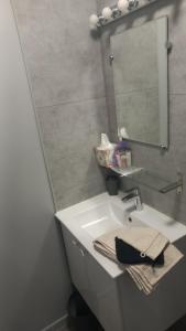 a bathroom with a sink and a mirror at Le repos des sommets in La Bourboule