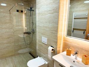 a bathroom with a shower and a toilet and a sink at Apartmán Valašský Eden in Horní Bečva +24 photos