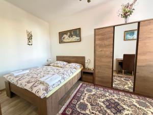 a bedroom with a bed and a mirror at Apartmány U sv. Anny in Kadaň +36 photos
