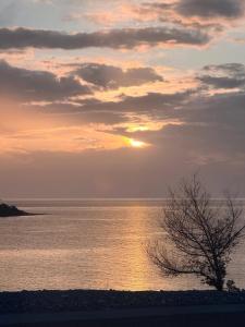 a sunset over the water with a tree in the foreground at Darhan Guest House in Darkan