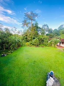 a field of grass with a tree in the background at Green Villa Midigama in Midigama East
