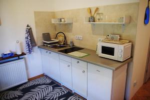 a kitchen with a counter with a microwave and a sink at Laskowy Sad pokoje gościnne agroturystyka in Wieniec