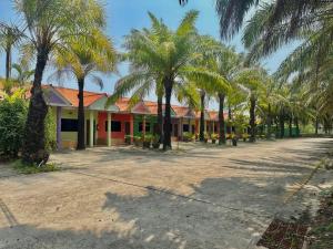 a row of palm trees in front of a building at Suan Palm Garden View in Rayong