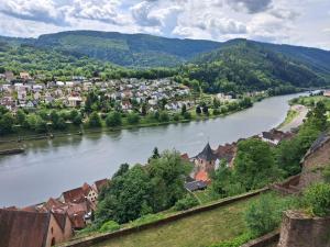 a view of a river with a town and a city at Talblick & Ruhe in Hirschhorn Langenthal in Hirschhorn