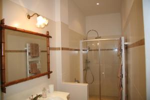 a bathroom with a shower and a sink at Chambres d'hôtes Le Clos d'Hauteville in Le Mans
