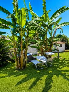 two chairs and palm trees in a yard at Loft Terracina in Terracina