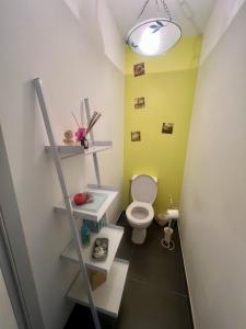 a small bathroom with a toilet and a ladder at Chez Christelle in Audenge