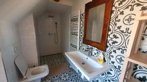 a bathroom with a sink and a toilet and a mirror at Sudetský grunt Autentická jesenická chalupa in Loučná nad Desnou +45 photos