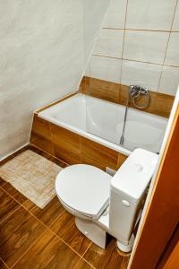 a bathroom with a toilet and a bath tub at Chatka Jitka kytka in Jedovnice +7 photos