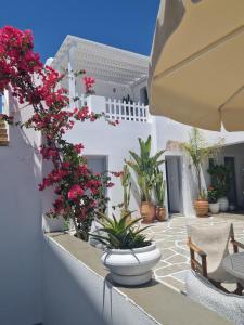 a patio with flowers and plants on a white building at Filoxenia Studios in Kithnos