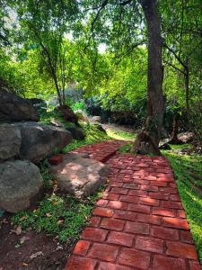 a red brick path with a tree on it at Dambulla Tiger Rock Hotel with Mountain Viewpoint in Dambulla