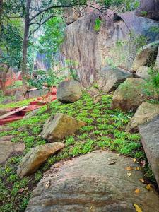 a bunch of rocks and green plants on a hill at Dambulla Tiger Rock Hotel with Mountain Viewpoint in Dambulla