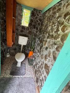 ein Steinbad mit Toilette und Fenster in der Unterkunft Niusiladi in Taveuni