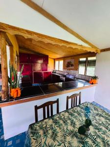eine Küche mit einem Tisch und einer Arbeitsplatte in der Unterkunft Niusiladi in Taveuni