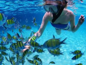 a woman in the water with a mask on looking at fish at Quisqueya in Arroyo Chico Arriba