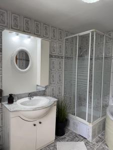 a bathroom with a sink and a shower at Casa Larisa Borsa in Borsa