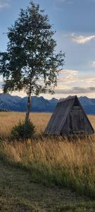 a tent in the middle of a field with a tree at MANN House in Ninkovići