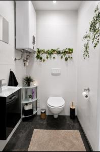 a white bathroom with a toilet and a sink at Deea Apartment in Schottwien