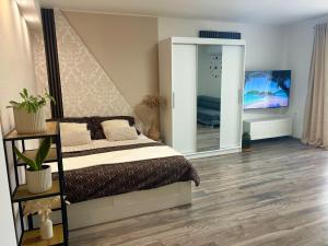a bedroom with a bed and a large mirror at Gabi Apartman in Gyenesdiás +17 photos