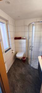 a small bathroom with a toilet and a shower at Ferienhaus Margarete in Dankerode +19 photos