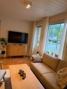 a living room with a couch and a flat screen tv at Gateway to Jotunheimen 4 Guests in Øvre Årdal