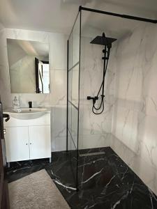 a bathroom with a shower and a sink at Denisa & Rares in Tăşnad