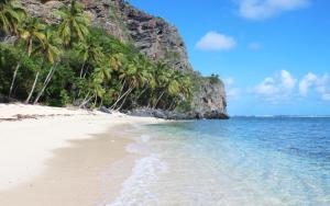 a beach with palm trees and the ocean at la Palmera in Arroyo Chico Arriba