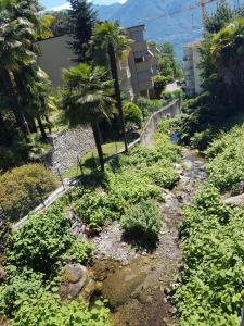 a garden with plants and palm trees in front of a building at Wohnung nr 103 in Muralto +1 photo