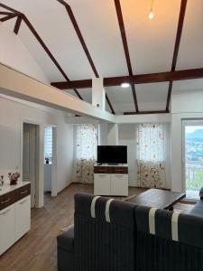 a living room with a couch and a tv at Harmony Rooms & Apartments in Vogošća +26 photos