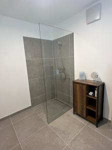 a bathroom with a glass shower with a wooden cabinet at Refugium Mitterbach in Mitterbach
