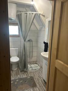 a bathroom with a shower with a toilet and a sink at Wooden Fairytale in Bihać +21 photos