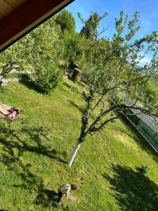 a person standing in the grass next to a tree at Wooden Fairytale in Bihać