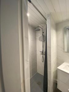 a bathroom with a shower and a sink at La maison D'Orée in Polignac