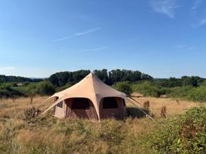 a tan tent in a field of tall grass at Sunset view in Hereford