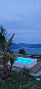 a swimming pool with a palm tree next to the water at Corte Furmignano in Solto Collina