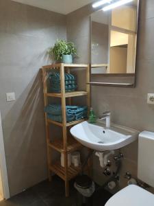 a bathroom with a sink and a mirror at Monteurwohnung Hoffmann in Heilbronn