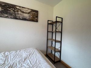 a bedroom with a book shelf next to a bed at Apparement cosy 4 personnes in Samoëns +9 photos