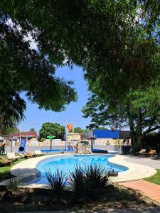 a swimming pool in a park with a tree at Hotel Del Parque in Corrientes