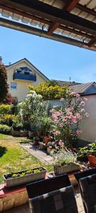 a garden with potted plants and flowers in a yard at Haus Schneider in Kappel-Grafenhausen