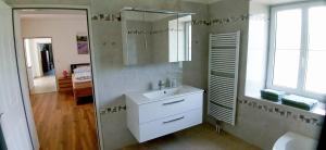 a bathroom with a sink and a mirror at Fridolins Family Apartment - Ferienwohnung im Südburgenland in Markt Allhau +17 photos