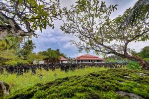 a house in the middle of a field with trees at Ocean Stay & Dive in Fenfushi
